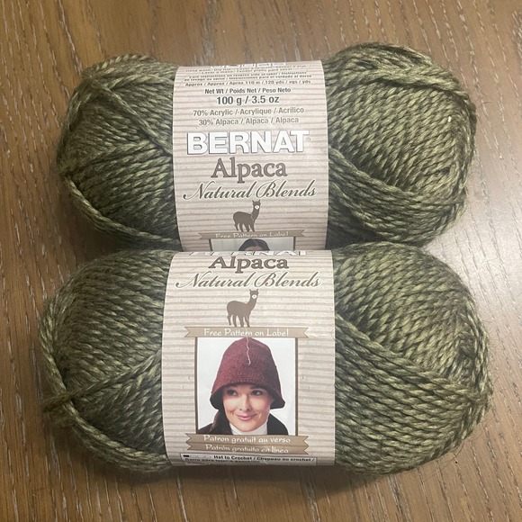 Bernat Other - Bernat Alpaca Yarn Bundle Green Set of 2 Crochet Knit Craft Soft NEW